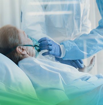 Professionelle Qualität